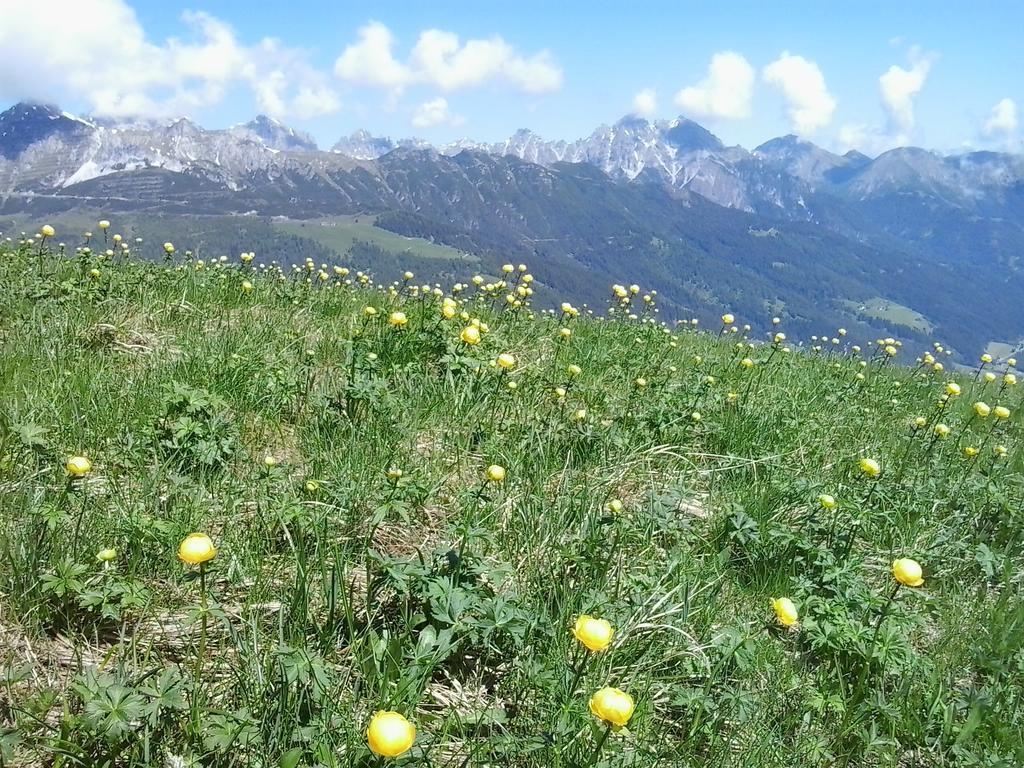 Apartment Martin Neustift im Stubaital Habitación foto